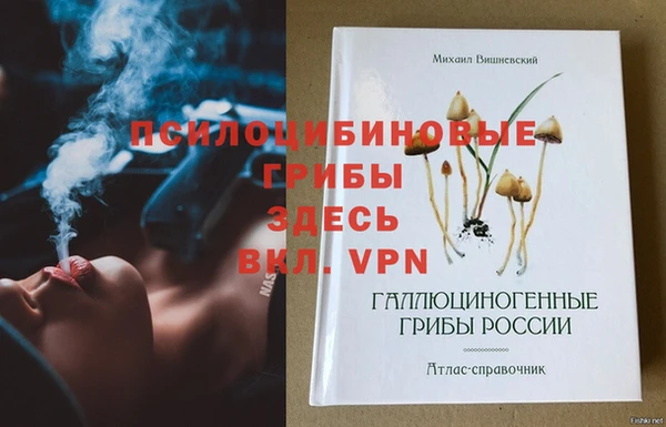 стафф Бронницы