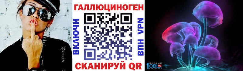где продают наркотики  Ярославль  Псилоцибиновые грибы прущие грибы 